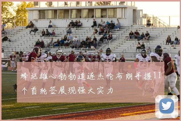 蜂记雄心勃勃追逐杰伦布朗手握11个首轮签展现强大实力