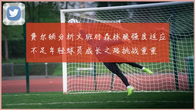 费尔顿分析文班对森林狼强度适应不足年轻球员成长之路挑战重重